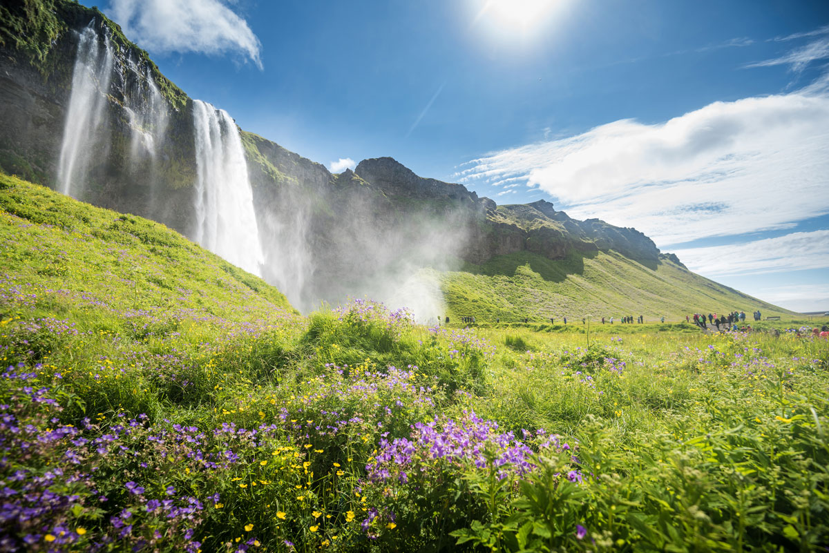 Seljalandsfoss
